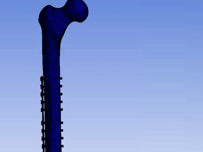 project thumbnail